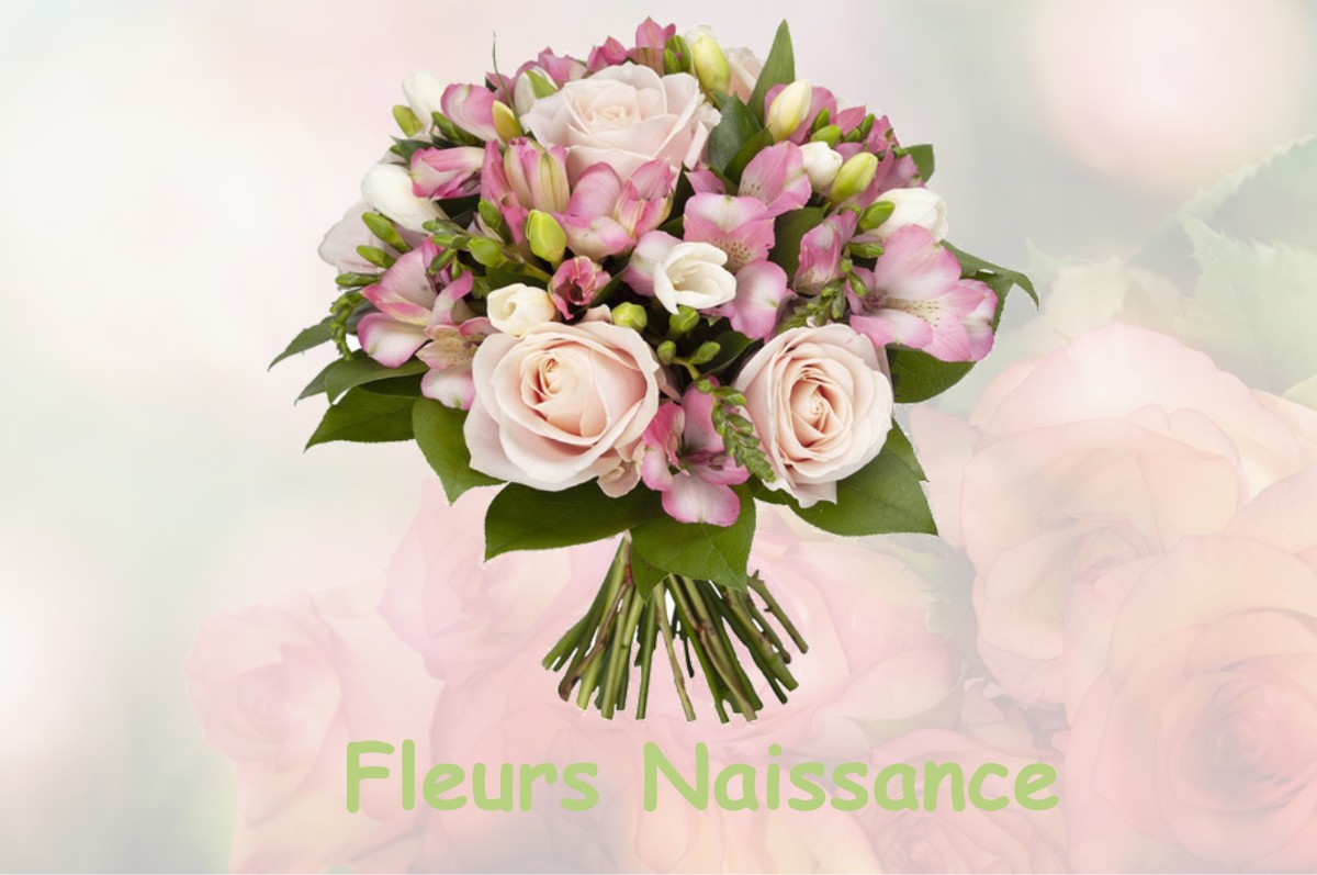 fleurs naissance SANSAC-DE-MARMIESSE